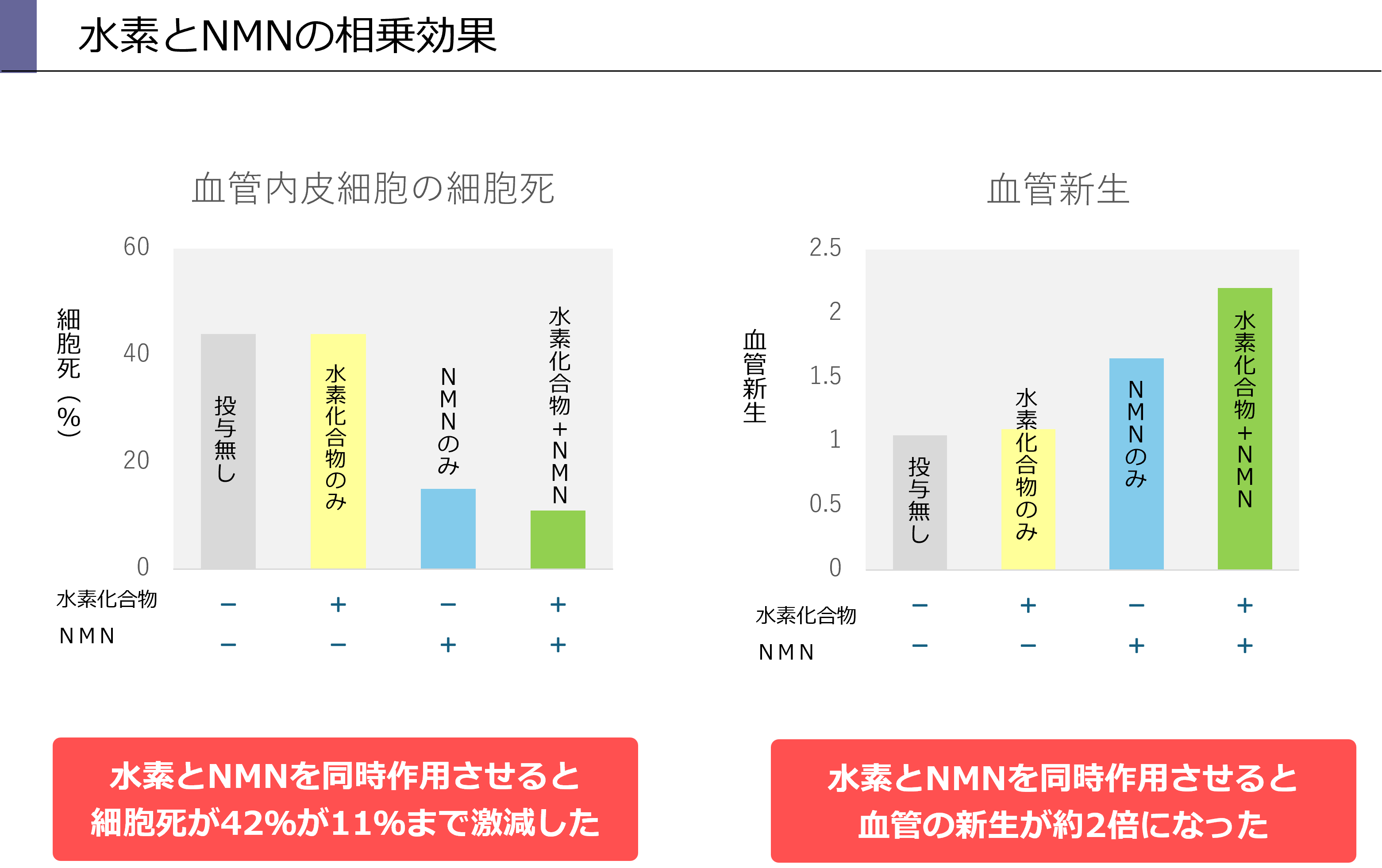 NMNsystemchart